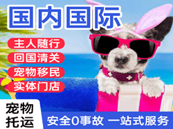 通辽航空邮寄国际宠物托运 【国